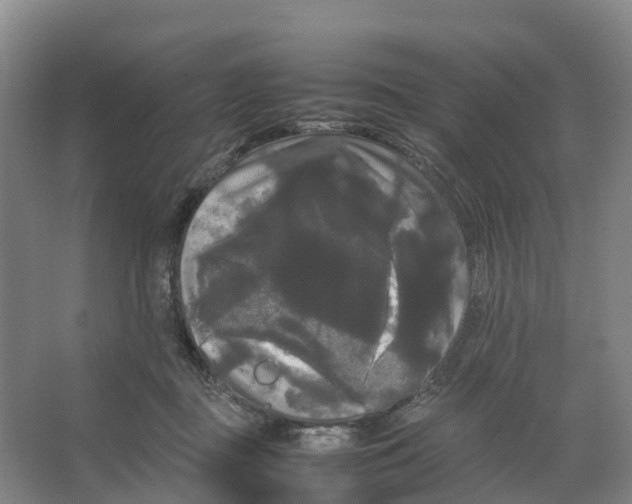 X0000066500363200604141728