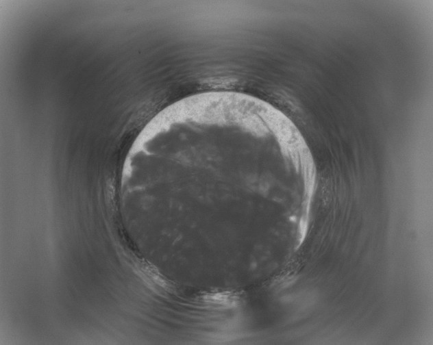 X0000066500365200604141728