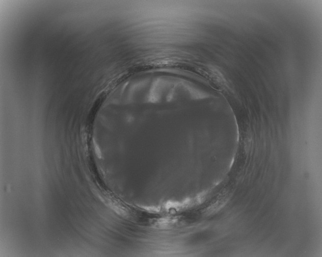 X0000066500366200604141728