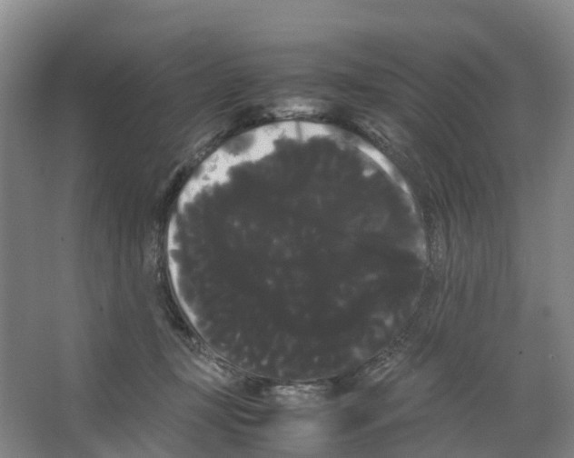 X0000066500367200604141728