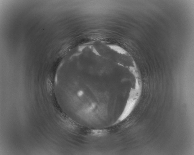 X0000066500371200604141728