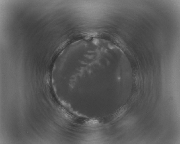 X0000066500374200604141728