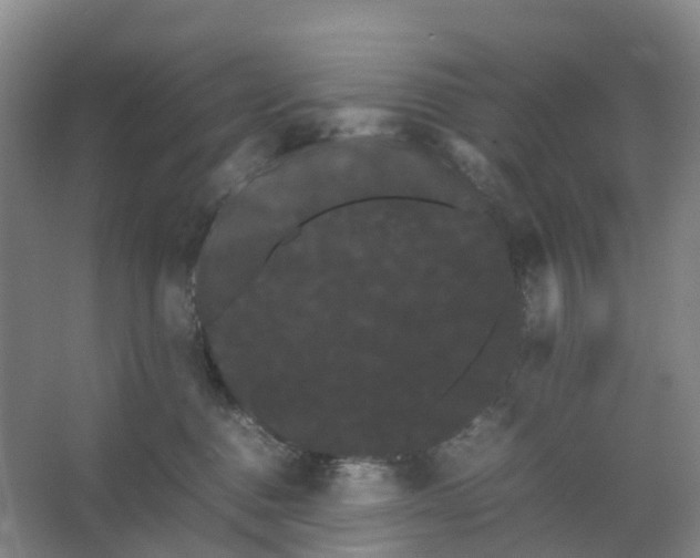 X0000066500376200604141728