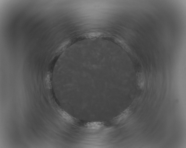 X0000066500378200604141728