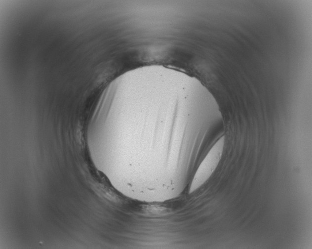 X0000066500380200604141728