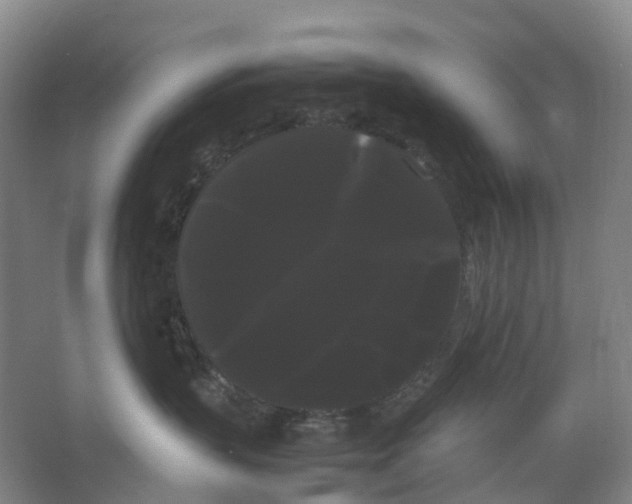 X0000066500383200604141729