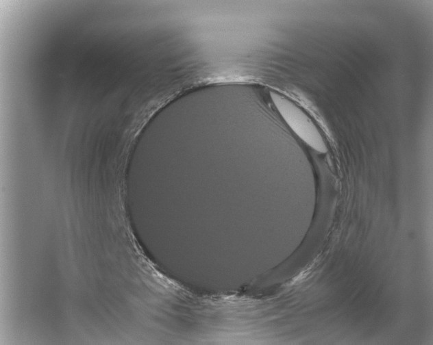 X0000066500385200604141728