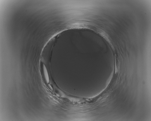 X0000066500387200604141728