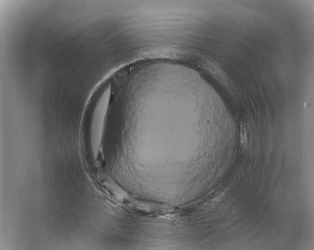 X0000066500388200604141728