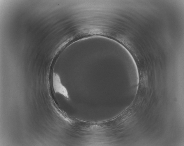X0000066500390200604141728
