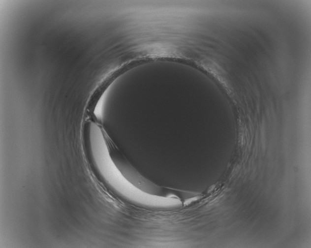 X0000066500391200604141728