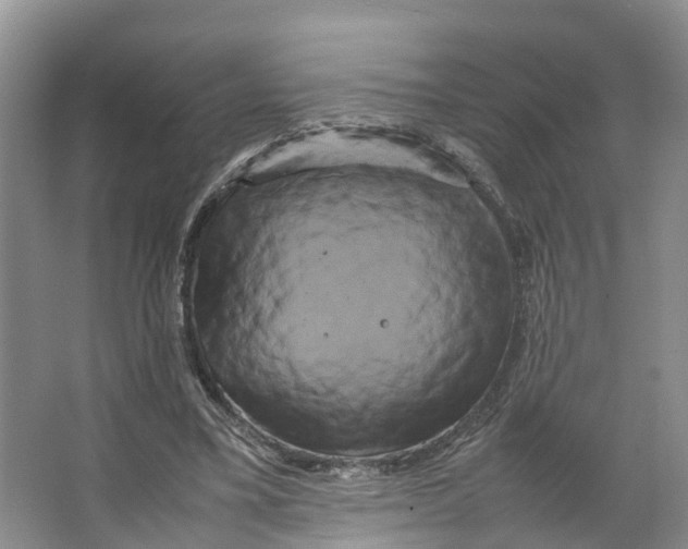 X0000066500395200604141728