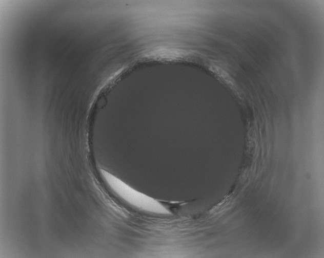 X0000066500399200604141728