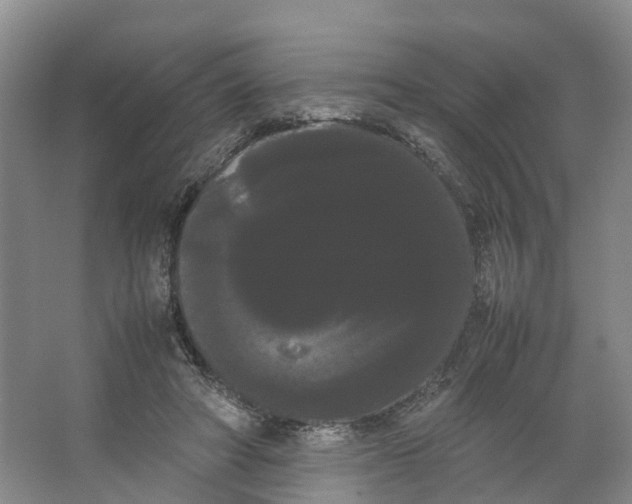 X0000066500402200604141727