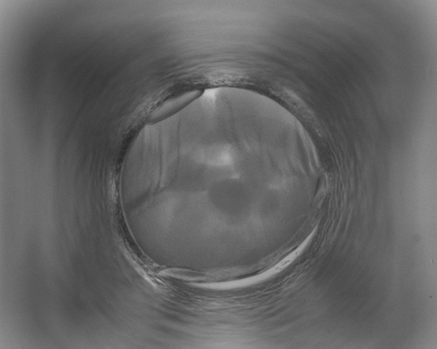X0000066500405200604141727