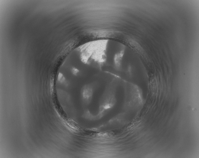 X0000066500406200604141727