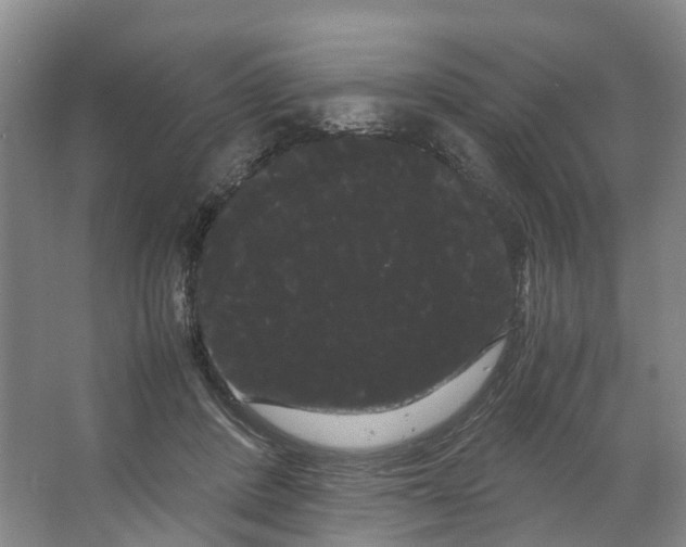 X0000066500408200604141727