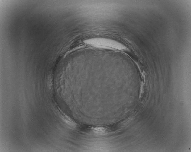 X0000066500409200604141727