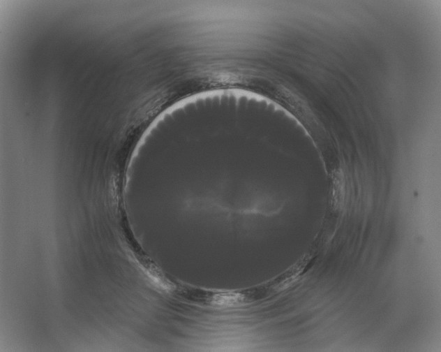 X0000066500410200604141727