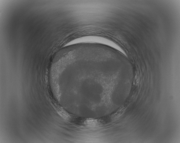 X0000066500413200604141727