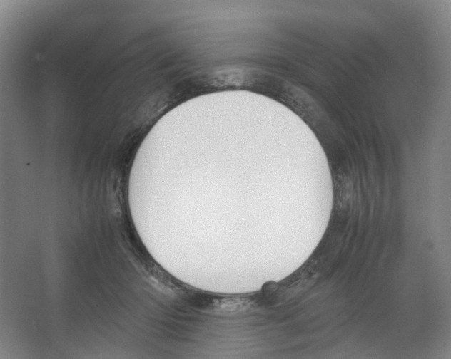 X0000066500414200604141727