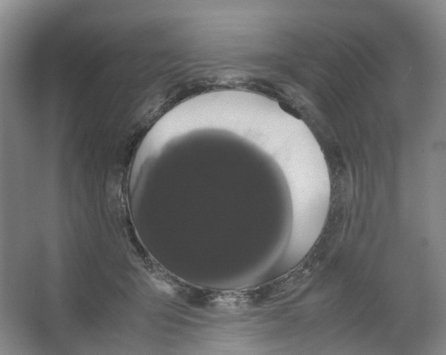 X0000066500415200604141727