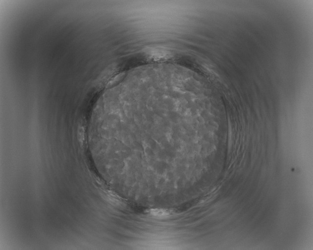 X0000066500417200604141727