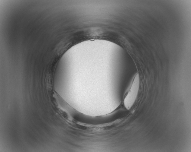 X0000066500421200604141727