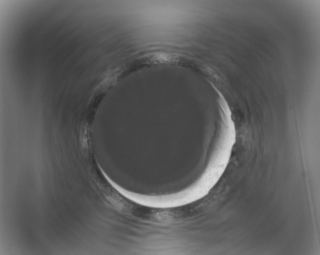 X0000066500423200604141727
