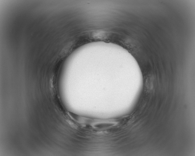 X0000066500424200604141727