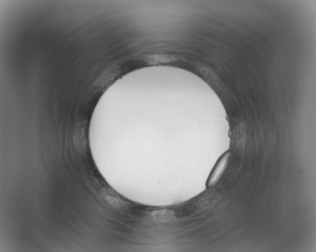 X0000066500426200604141727