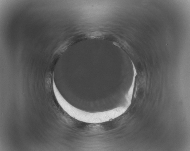 X0000066500427200604141727
