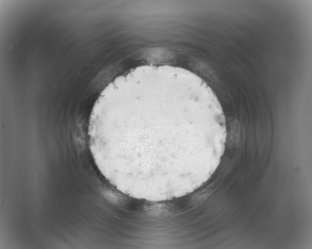 X0000066500430200604141727