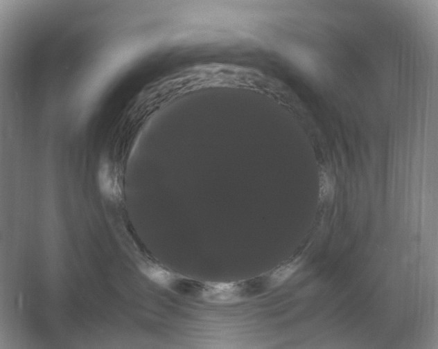 X0000066500431200604141727