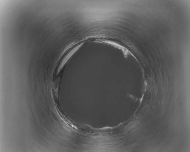 X0000066500434200604141726