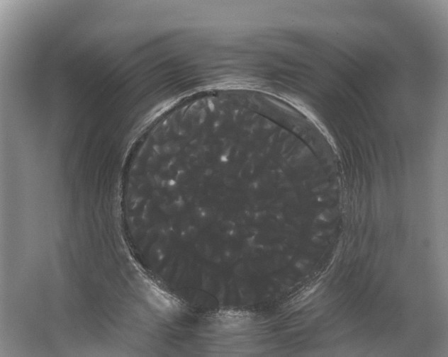 X0000066500437200604141726