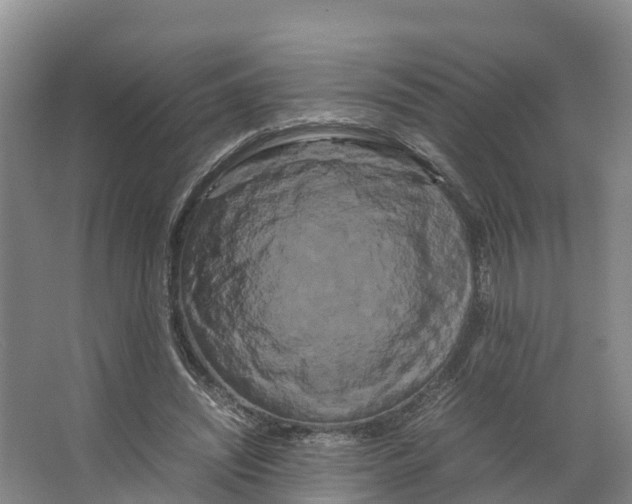 X0000066500444200604141726