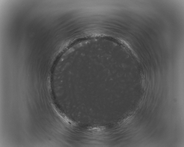 X0000066500447200604141726