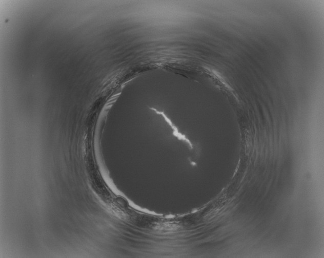 X0000066500451200604141726