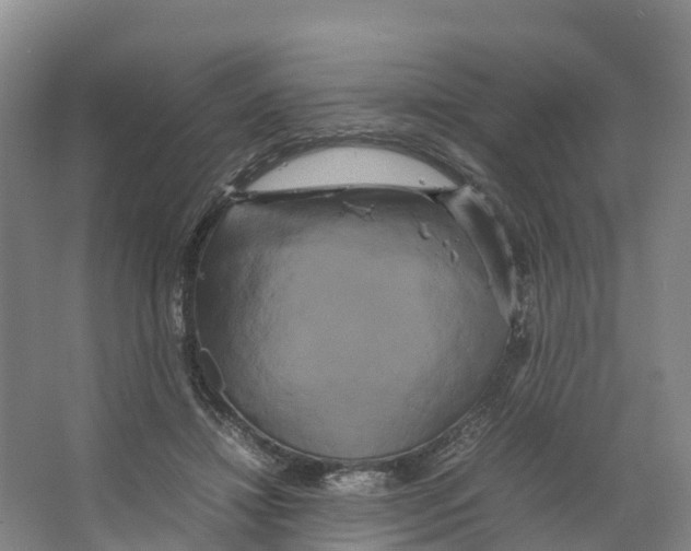 X0000066500452200604141726