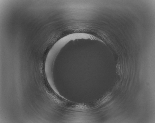 X0000066500458200604141727