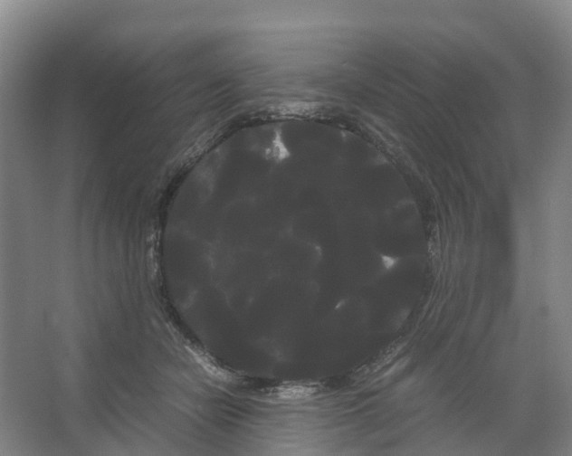 X0000066500462200604141727