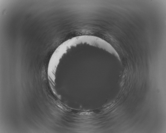 X0000066500465200604141727