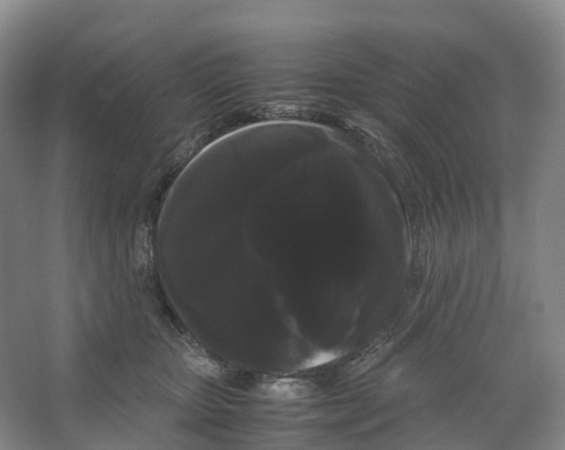 X0000066500467200604141727