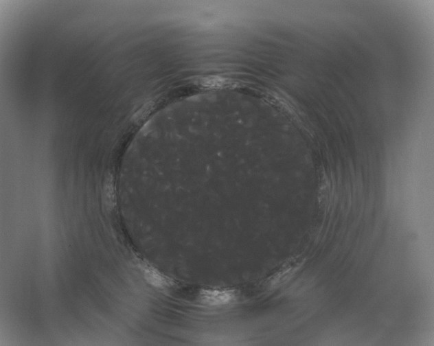 X0000066500469200604141727