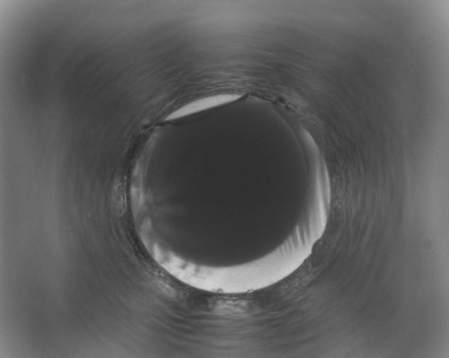 X0000066500471200604141727