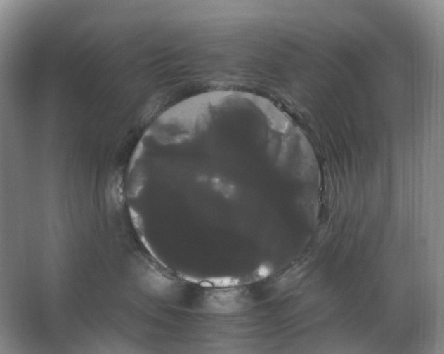 X0000066500479200604141727