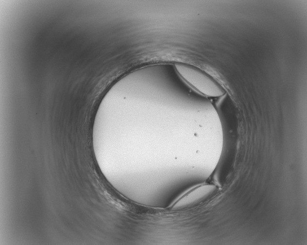 X0000066500481200604141726