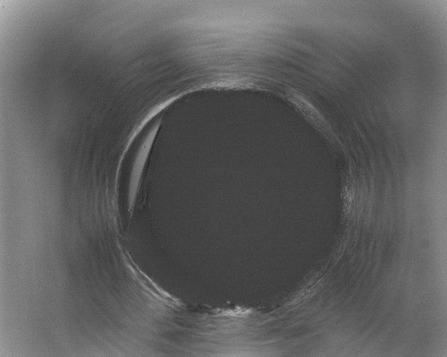 X0000066500484200604141726