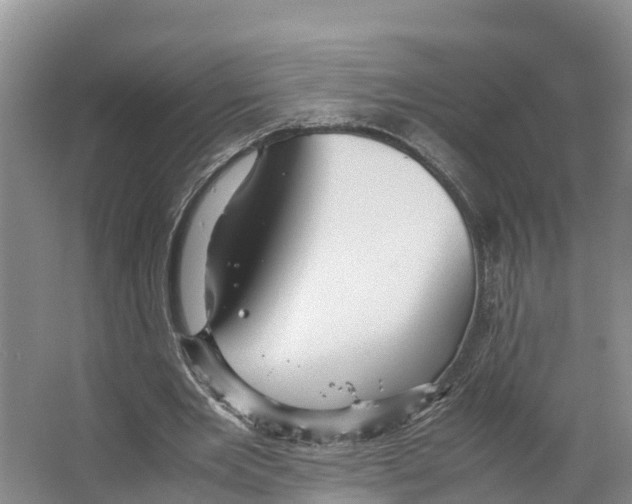 X0000066500485200604141726